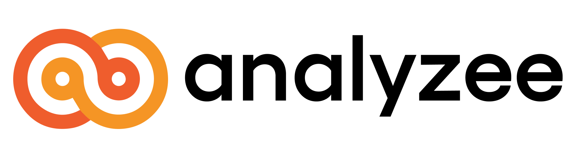 Analyzee full logo